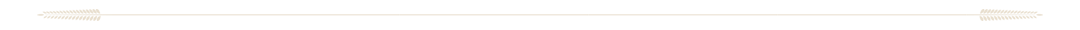 section divider